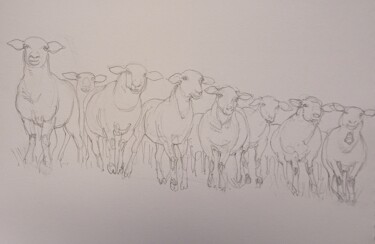 les moutons curieux dessin